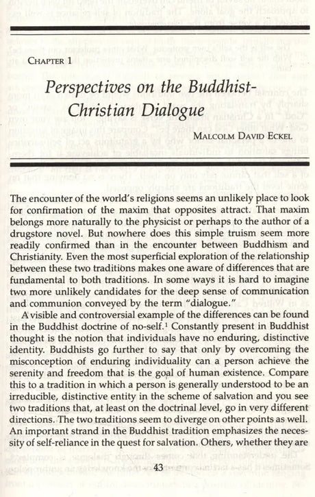 The Christ and the Bodhisattva - Retail Maharaj