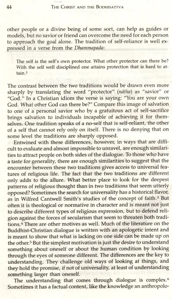 The Christ and the Bodhisattva - Retail Maharaj