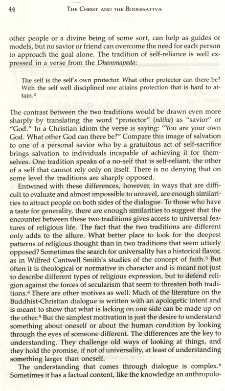 The Christ and the Bodhisattva - Retail Maharaj