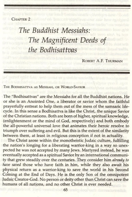 The Christ and the Bodhisattva - Retail Maharaj