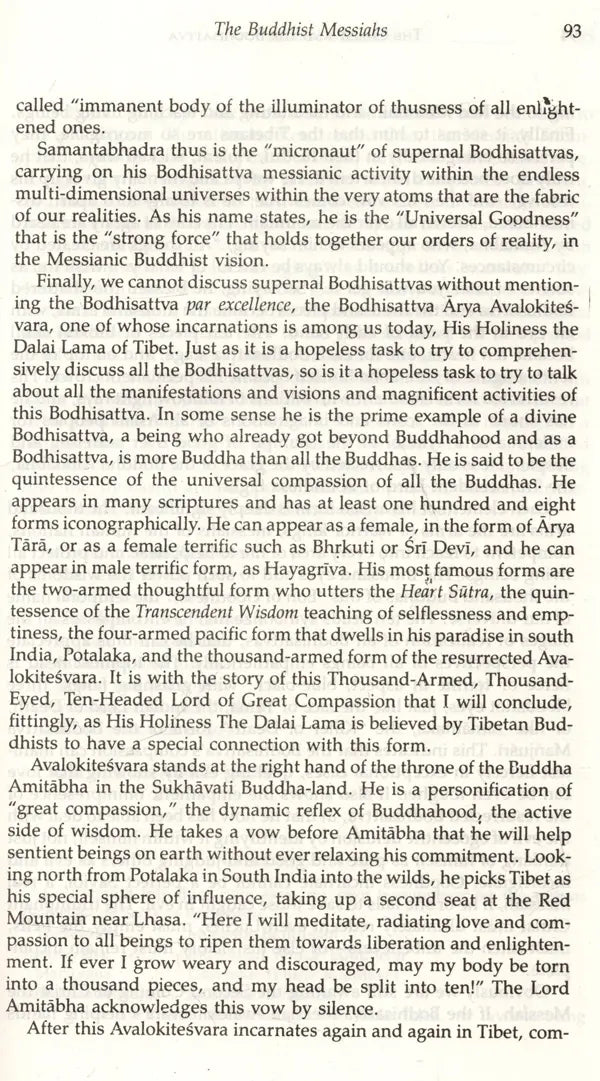 The Christ and the Bodhisattva - Retail Maharaj