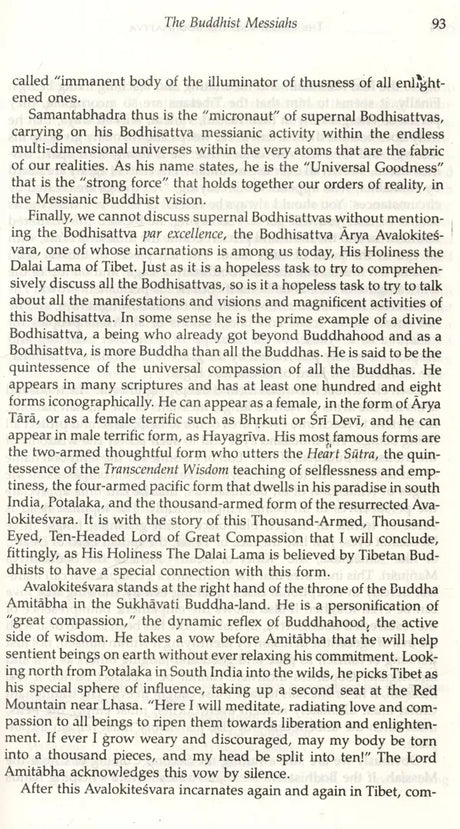 The Christ and the Bodhisattva - Retail Maharaj