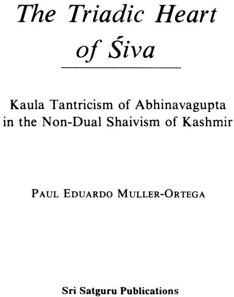Religious Pluralism and Truth-Essays on Cross Cultural Philosophy - Retail Maharaj