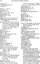Religious Pluralism and Truth-Essays on Cross Cultural Philosophy - Retail Maharaj