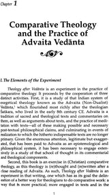 Theology After Vedanta: Experiment in Comparative Theology: No. 2 (Monumenta Indica S.) - Retail Maharaj