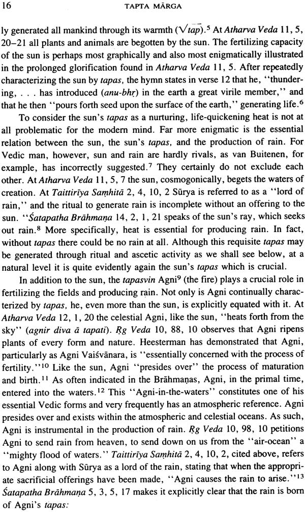 Tapta Marga: Asceticism and Initiation in Vedic India - Retail Maharaj