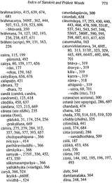 The Unknown Pilgrims: History, Life and Spirituality of the Jaina Women - Retail Maharaj