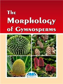 The Morphology of Gymnosperms - Retail Maharaj