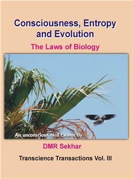Consciousness, Entropy and Evolution: The Laws of Biology - Retail Maharaj