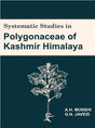 Systematic Studies in Polygonaceae of Kashmir Himalaya - Retail Maharaj