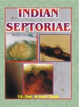 Indian Septoriae - Retail Maharaj