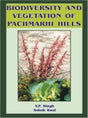 Biodiversity and Vegetation of Pachmarhi Hills - Retail Maharaj