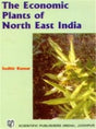 The Economic Plants of North East India - Retail Maharaj