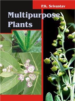 Multipurpose Plants - Retail Maharaj