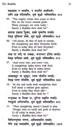 Buddhism Pali text with English Translation (In Set of 2 Volumes) - Retail Maharaj