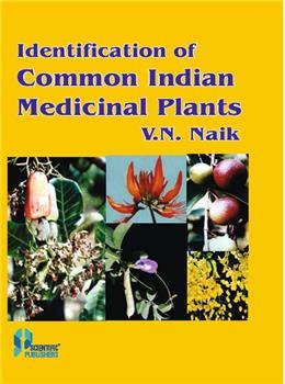 Identification Of Common Indian Medicinal Plants - Retail Maharaj