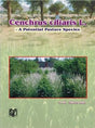 Cenchrus Ciliaris L: A Potential Pasture Species - Retail Maharaj