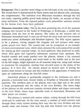 Pre, Proto and Early Historic Cultures of Krishna- Tungabhadra Valley - Retail Maharaj