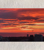 “Wings of Dusk – Melbourne Bay Sunset” by Ankita Sengupta - Retail Maharaj
