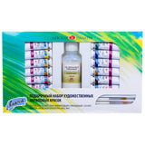 Ladoga Gift Set of Acrylic Color Artist Paint Set with 12 Colours Gloss Varnish and Brushes for Canvas Wood and Creative Art