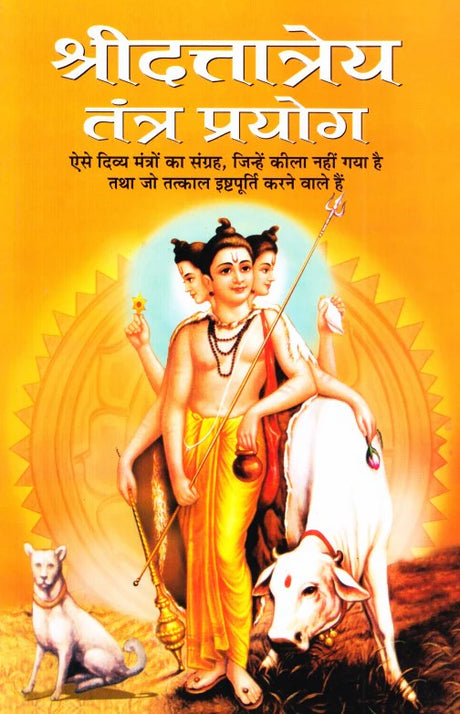 Shree Duttatreya Tantra Pryog [Hindi] - Retail Maharaj