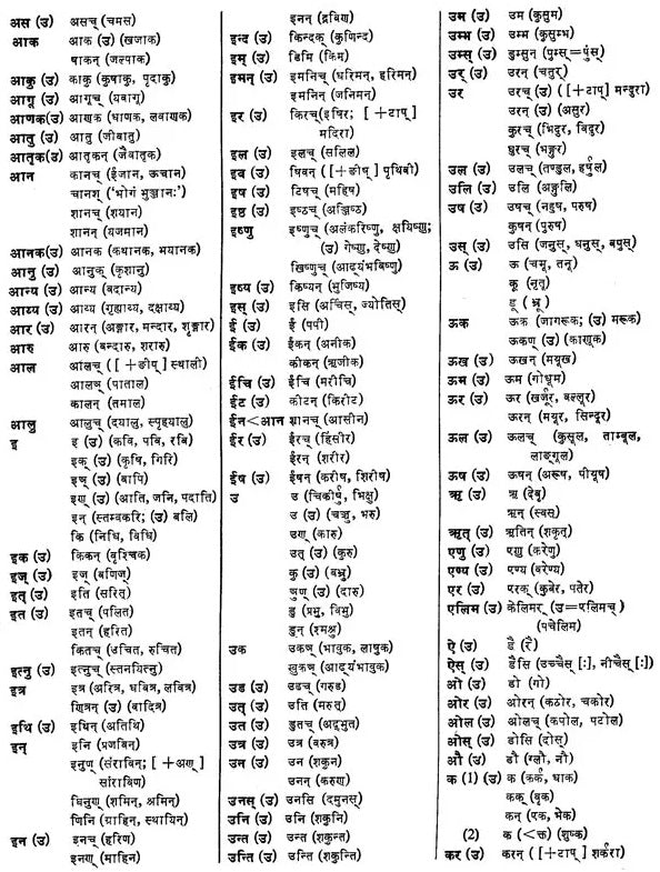 Padmacandrakosa A Comprehensive Sanskrit Hindi Dictionary (An Old and Rare Book) - Retail Maharaj