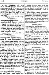 Rasaratnasamuccaya - Retail Maharaj