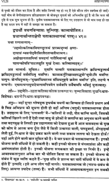 Sahitya Darpan of Visvanatha - Retail Maharaj