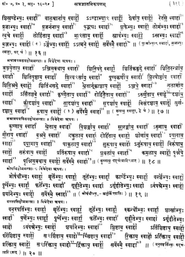Taittiriya-Samhita (Sanskrit Text with Indexes) - Retail Maharaj