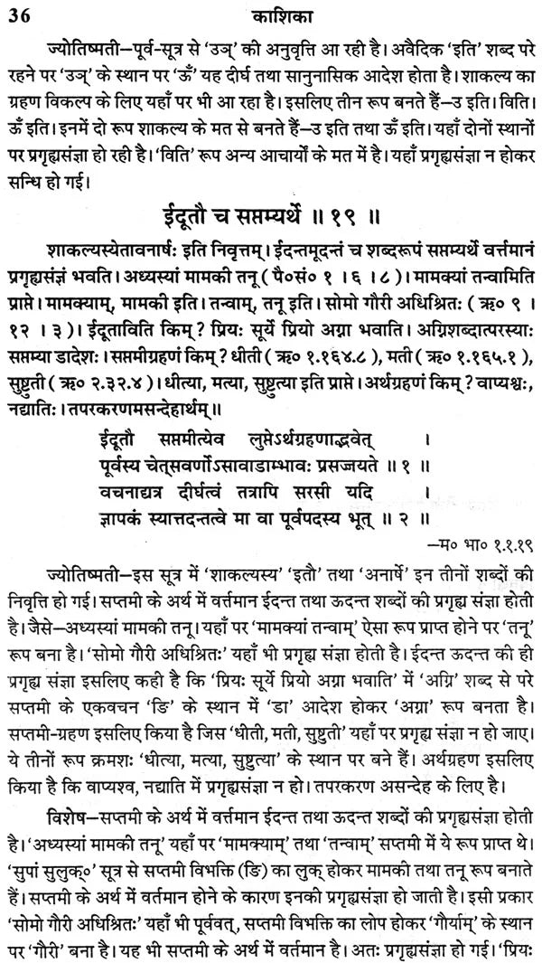 काशिका: Kashika- A Commentary on Panini's Grammar (Set of 2 Volumes) (An Old and Rare Book) - Retail Maharaj