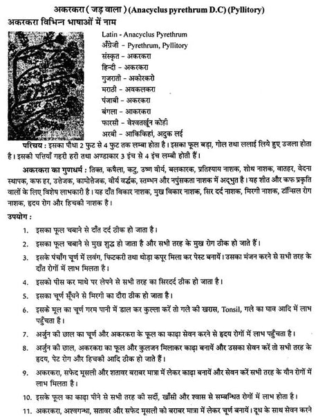 दिव्य औषधि विज्ञान - The Science of Divine Medicine - Retail Maharaj