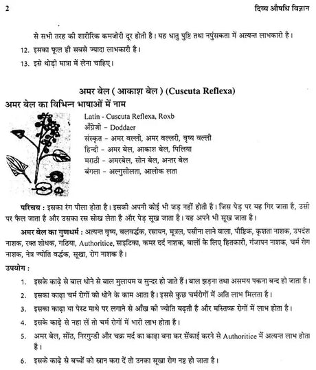 दिव्य औषधि विज्ञान - The Science of Divine Medicine - Retail Maharaj