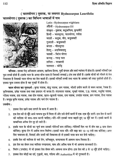 दिव्य औषधि विज्ञान - The Science of Divine Medicine - Retail Maharaj