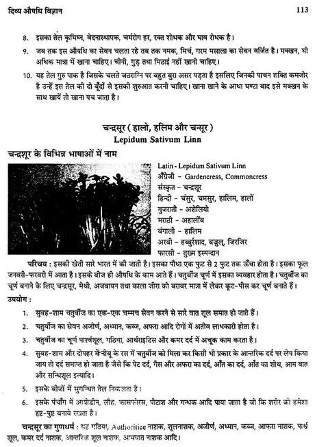 दिव्य औषधि विज्ञान - The Science of Divine Medicine - Retail Maharaj