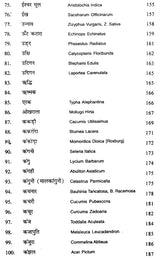भारतीय जड़ी-बूटियाँ - Indian Herbs - Retail Maharaj