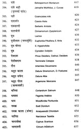 भारतीय जड़ी-बूटियाँ - Indian Herbs - Retail Maharaj