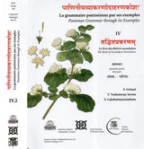 Paninian Grammar Through its Examples (The Book of Secondary Derivatives) Set of Two Volumes - Retail Maharaj
