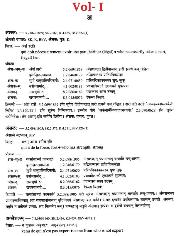 Paninian Grammar Through its Examples (The Book of Secondary Derivatives) Set of Two Volumes - Retail Maharaj