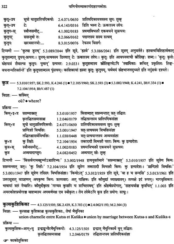 Paninian Grammar Through its Examples (The Book of Secondary Derivatives) Set of Two Volumes - Retail Maharaj