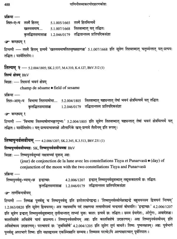 Paninian Grammar Through its Examples (The Book of Secondary Derivatives) Set of Two Volumes - Retail Maharaj
