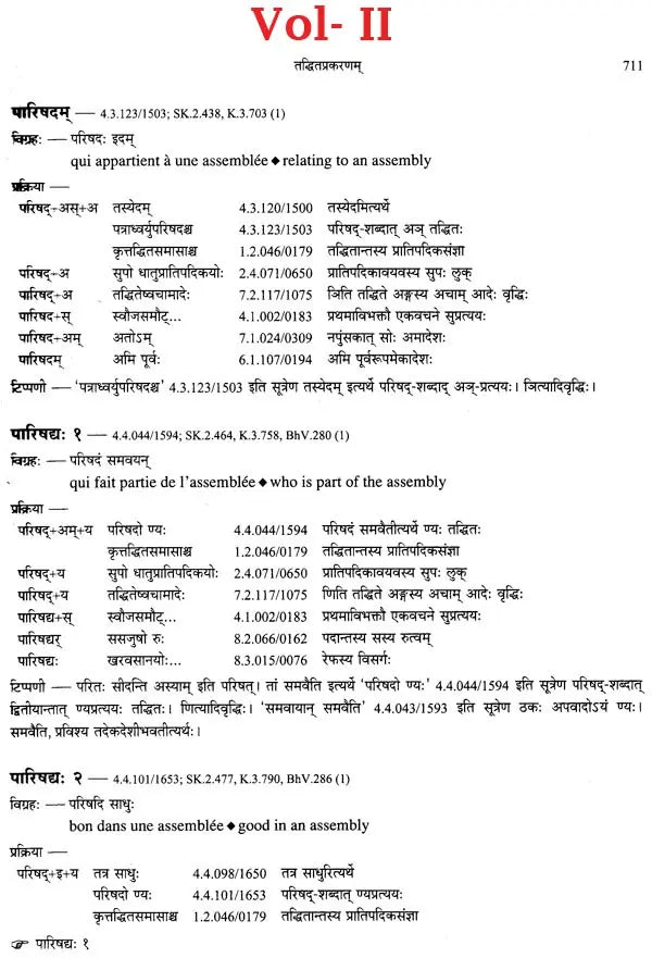 Paninian Grammar Through its Examples (The Book of Secondary Derivatives) Set of Two Volumes - Retail Maharaj