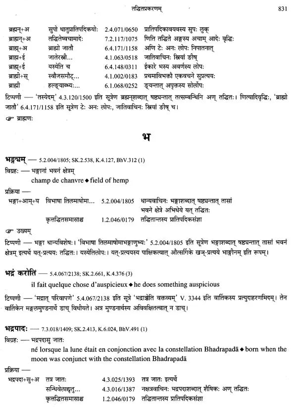 Paninian Grammar Through its Examples (The Book of Secondary Derivatives) Set of Two Volumes - Retail Maharaj