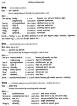 Paninian Grammar Through its Examples (The Book of Secondary Derivatives) Set of Two Volumes - Retail Maharaj