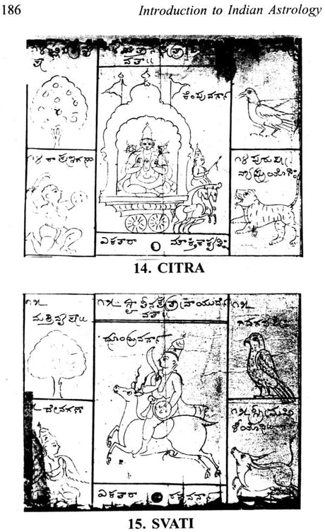 Introduction To Indian Astrology - Retail Maharaj