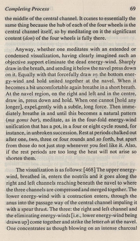 Dzog-chen meditation: Rdor sems thugs kyi sgrub pai khrid yig rab gsal snang ba (Bibliotheca Indo-Buddhica series) - Retail Maharaj