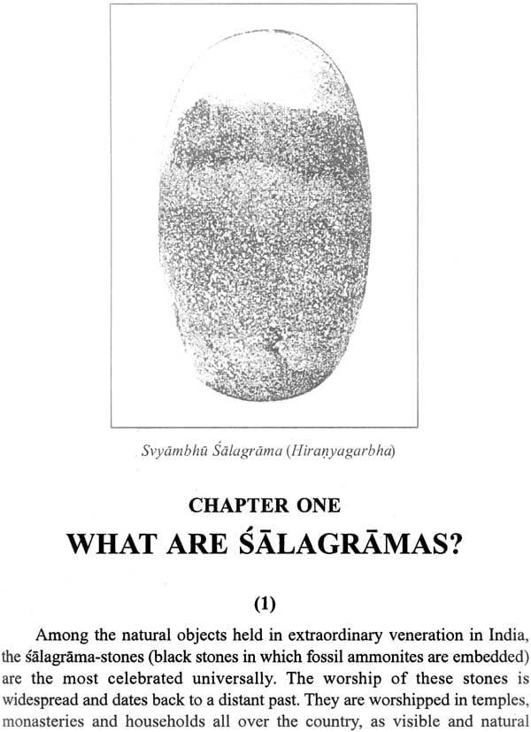 Salagrama-Kosha (2 Volume Set) - Retail Maharaj