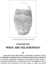 Salagrama-Kosha (2 Volume Set) - Retail Maharaj