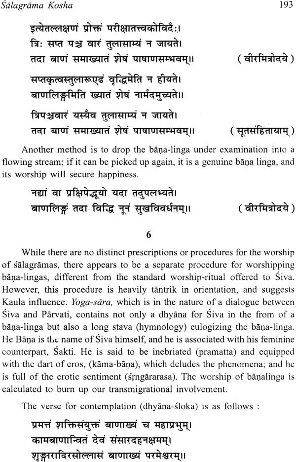 Salagrama-Kosha (2 Volume Set) - Retail Maharaj