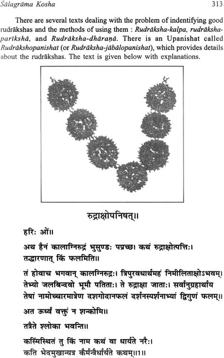 Salagrama-Kosha (2 Volume Set) - Retail Maharaj