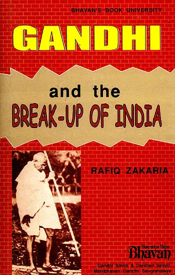 Gandhi and The Break-Up of India - Retail Maharaj